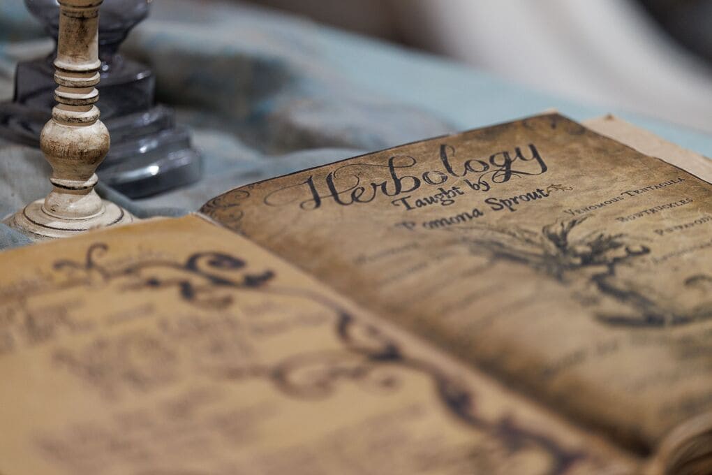 Our Relationship & Commitment to Responsible, Respectful & Ethical Spiritual Guidance