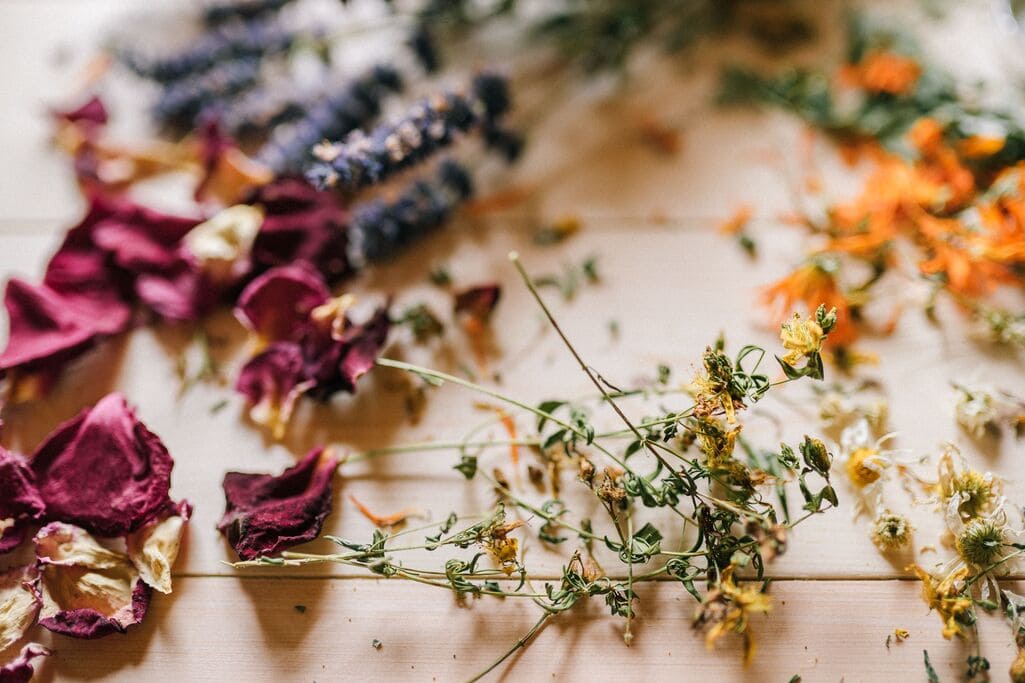 Assortment of dried herbs used in love ritual work, including rose and lavender.